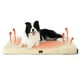 thumbnail image 1 of Cama para perros, ortopédica, autocalentable, impermeable, para perros grandes, 1 of 7