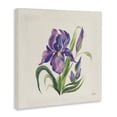 thumbnail image 3 of Stupell Industries Cottage Purple Iris Flower Canvas Art, 30 x 30, by Kristy Rice, 3 of 8