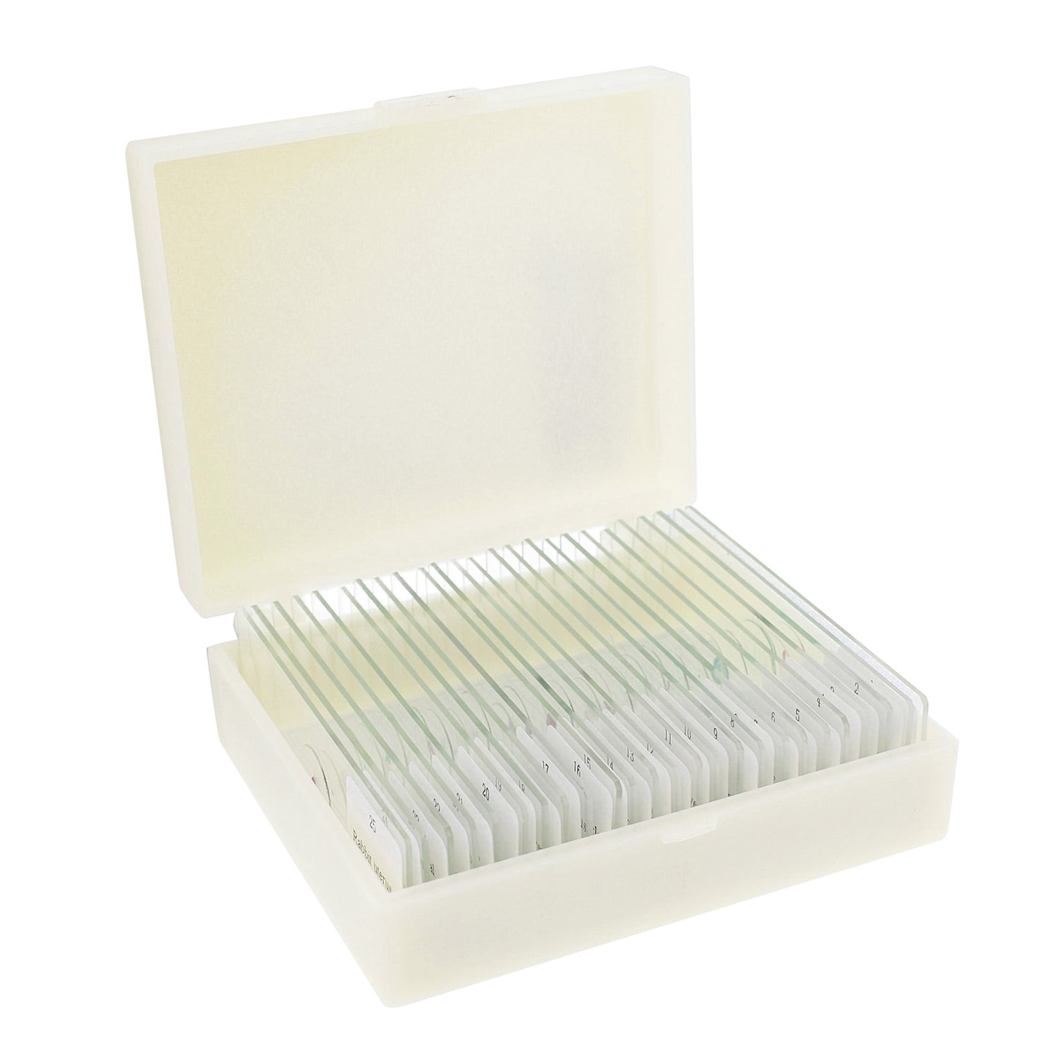 набор микропрепаратов «ботаника-6 кл. комплект микропрепаратов по зоологии. набор микропрепаратов общая биология (средний). набор микропрепаратов ботаника 1 профильный уровень. микропрепараты зоология.