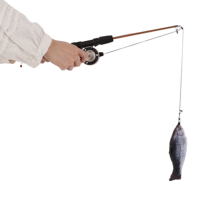 Wand Retractable Cat Teaser Wand Toy Interactive Fishing Rod With Simulation Fish For CatsSalmon Fishing Rod