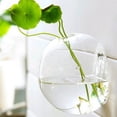 thumbnail image 3 of koolsoo 4'' Hanging Glass Ball Flower Vase Pot Landscape Bottle Terrarium Container Pot Ball 10cm, 3 of 9