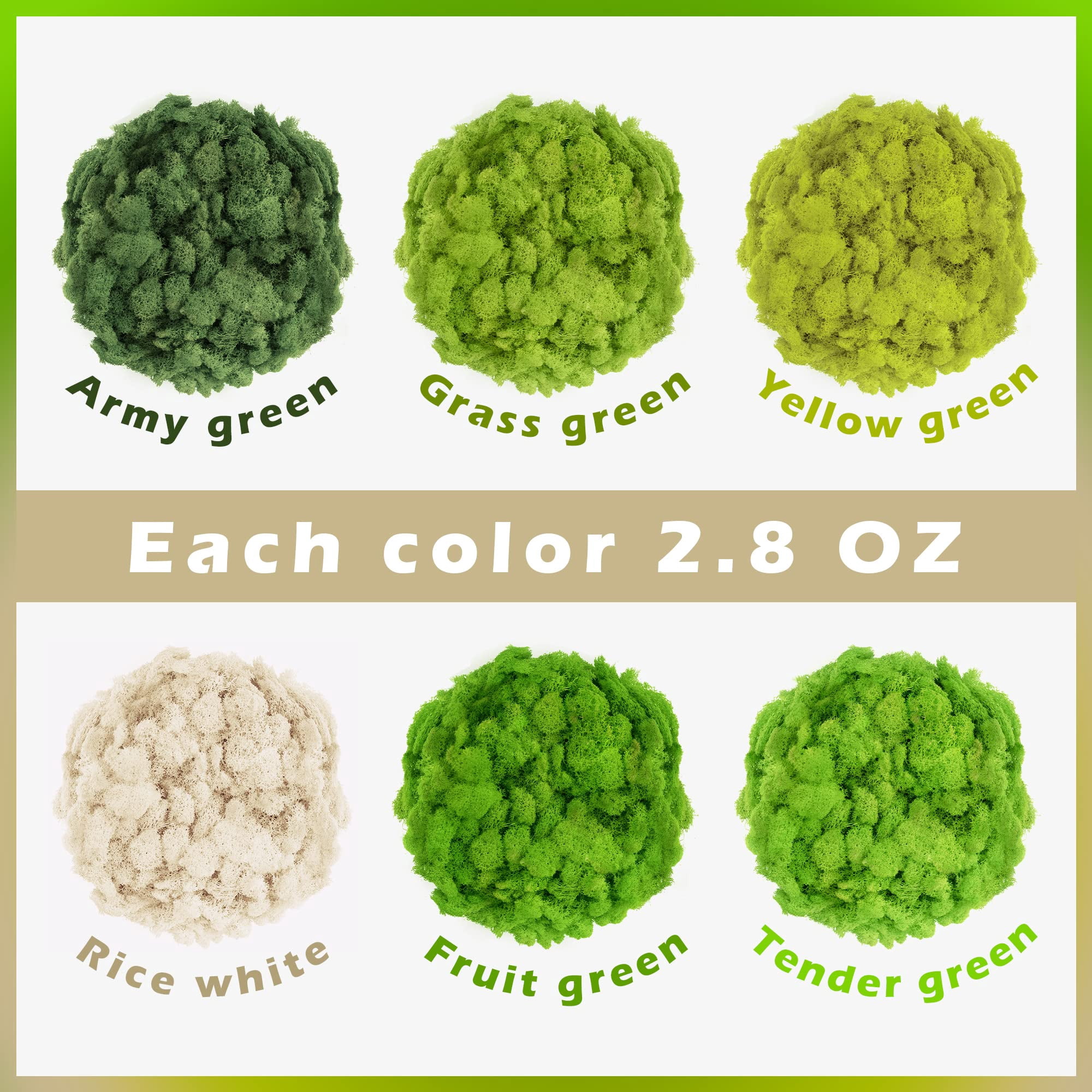 6 Colors Preserved Moss - 16.9 oz Natural Reindeer Moss for Crafts Potted Plants Floral Arrangements Home Garden Decor