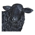thumbnail image 3 of Baa Baa Black Sheep Statue-Color:Black,Style:Contemporary Modern, 3 of 3