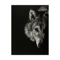 Trademark Fine Art 'Black Glimpse III' Canvas Art by Julie T. Chapman