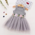 thumbnail image 2 of Lindreshi Baby Girl Clothes Toddler Baby Girls Sleeveless Floral Tulle Dress Flower Princess Dresses, 2 of 4