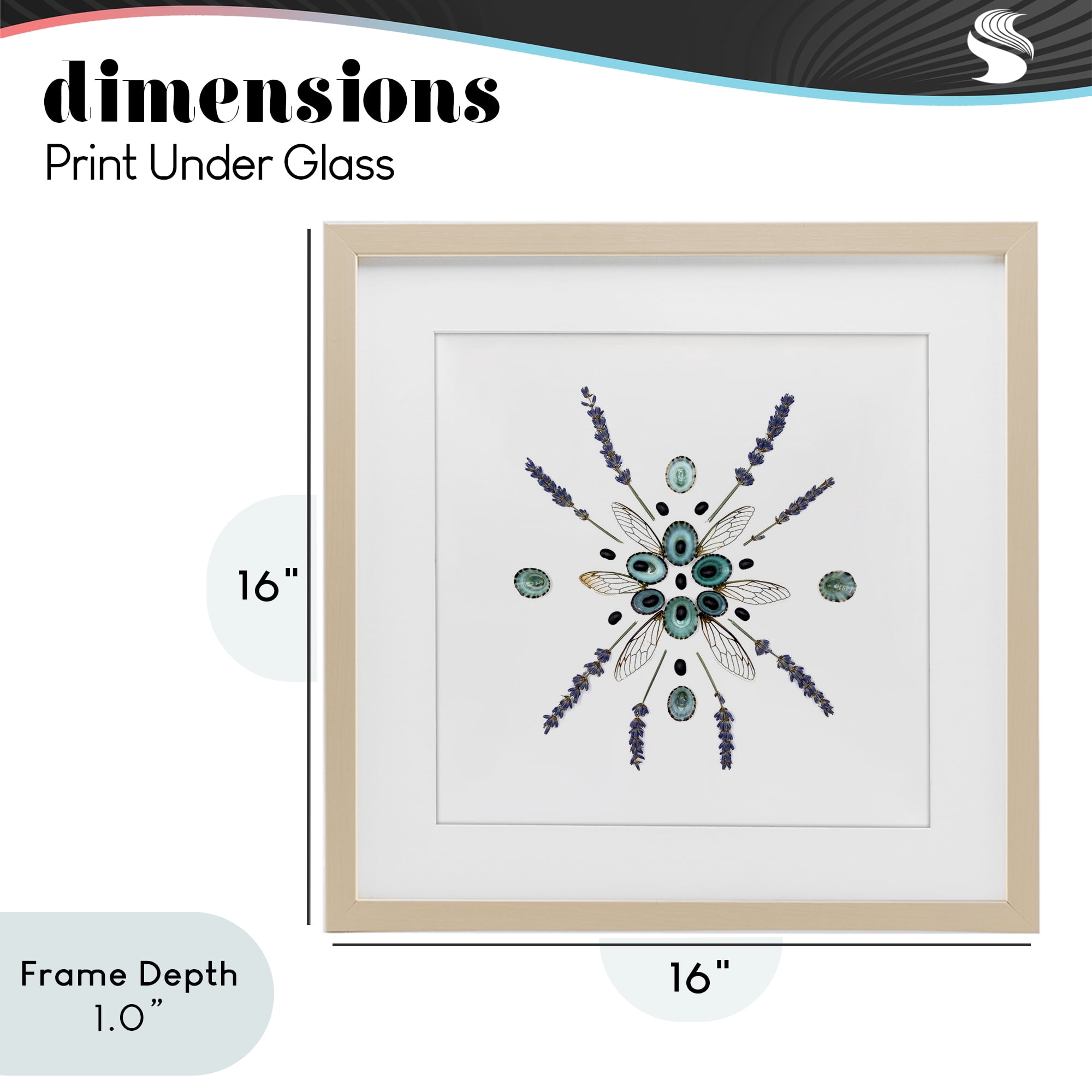 Stupell Industries Lavender & Delicate Wings Birch Framed Print Under Glass, design by Beth Adoette