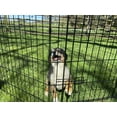 thumbnail image 2 of Lucky Dog™ 48" Dog Exercise Pen w/Stakes, 2 of 8