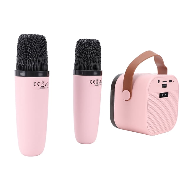 Machine de Karaoké Portable Polyvalente avec Microphone Intégré pour Fête Anniversaire Extérieur