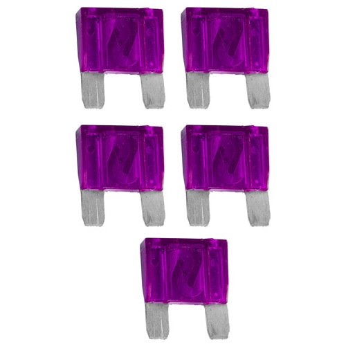 Xscorpion 100 Amp Fuses 5per Bag