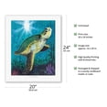 thumbnail image 2 of Hawaiian Green Sea Turtle - From an Original Color Painting by Scott Westmoreland - Fine Art Rolled Canvas Print 16in x 20in, 2 of 4