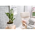 thumbnail image 2 of Gardenera Labs Zamioculcas Potting Mix - Promote Strong Roots and Captivating Foliage with Our Premium Blend - 4 QUART, 2 of 4