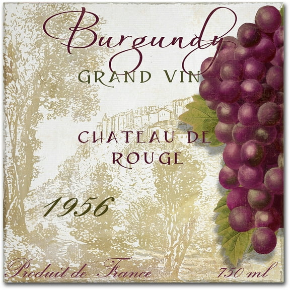 Trademark Fine Art "Grand Vin Burgundy" Canvas Art by Color Bakery