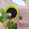 thumbnail image 3 of MasteelfCA 20pcs Plants Grow Organic Fertilizer Baskets Bonsai Fertilizer Container (Black), 3 of 9