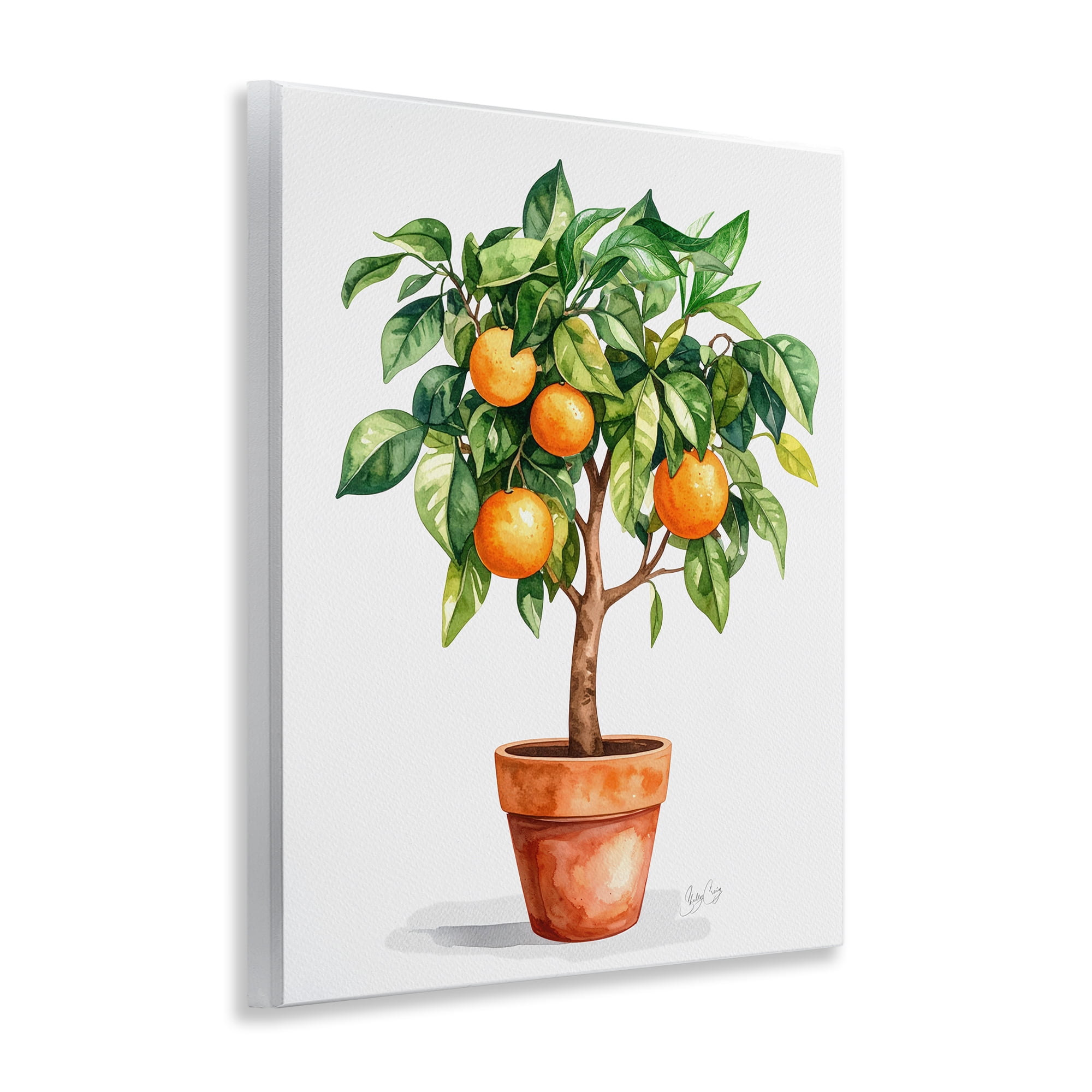 Stupell Industries Potted Orange Tree Wall Plaque Art, design by Shelly Craig