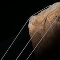thumbnail image 4 of High-tensile Braided Fishing Line Cuts Water Quickly Wear Out for Saltwater & Freshwater, 4 of 9