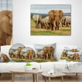 thumbnail image 4 of Designart Large Elephant Herd in Africa - African Throw Pillow - 12x20, 4 of 5