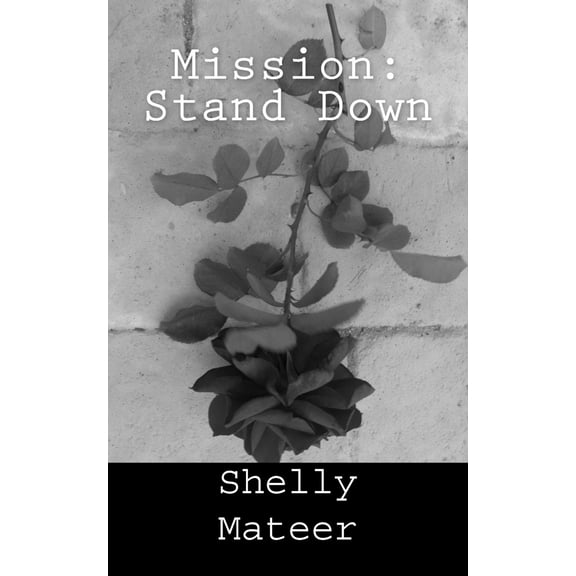 Mission: Stand Down (Paperback)