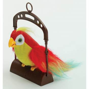 Pete the Repeat Parrot Free Shipping 