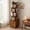 5 Tier / Large Cabinet (WALNUT)+5, variant on LIANGKA BROWN 5 Tier Freestanding Rotating Display Bookcase 360 Degree Spinning Storage Organizer For Household Use