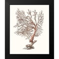 thumbnail image 2 of Unknown 12x14 Black Modern Framed Museum Art Print Titled - Terra Cotta Coral I, 2 of 5