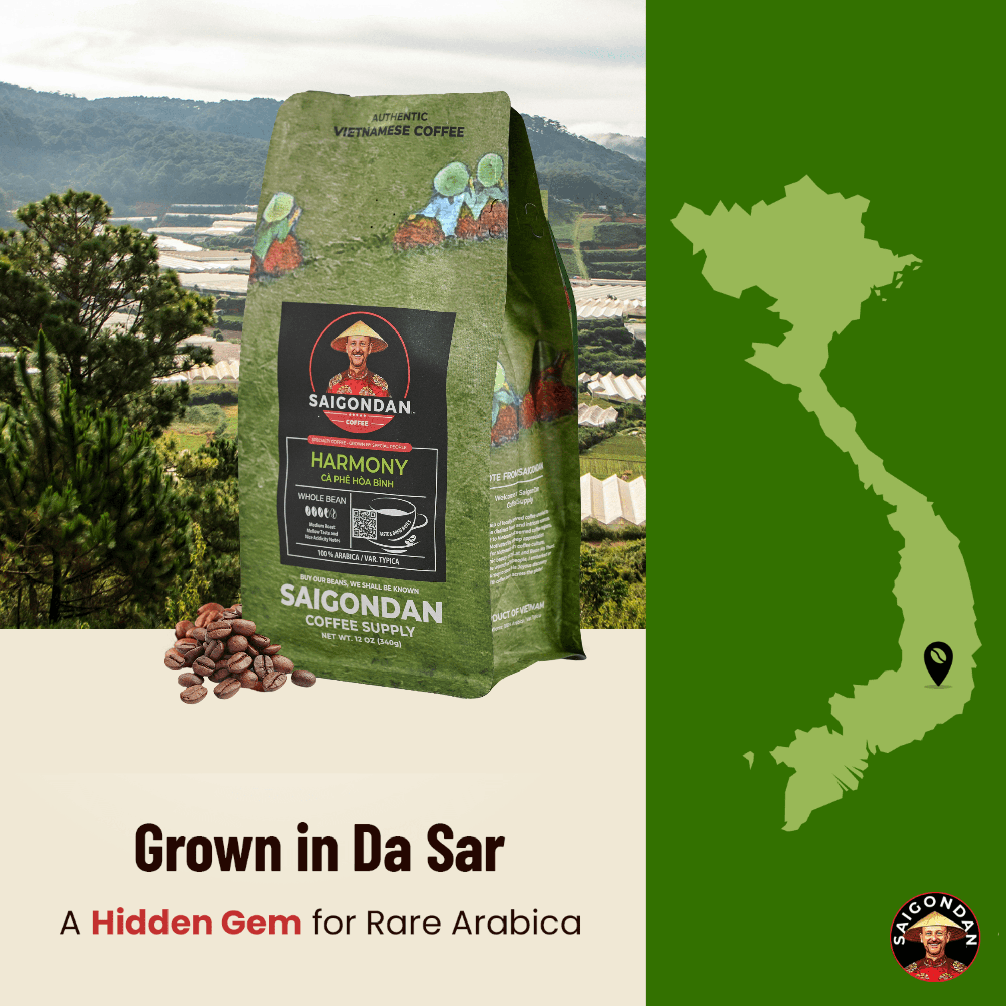 Saigondan Whole Bean Coffee - Harmony | Medium Roast | 100% Arabica | Vietnamese Single Origin | Roasted in Small Batch | Direct Trade | Full Bodied | No Preservatives | 12 Oz