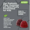 thumbnail image 3 of VITEEY Prebiotic Fiber Gummies for Kids 4g, Digestive Health Support, Fruit Flavor, 120 Ct, 3 of 7