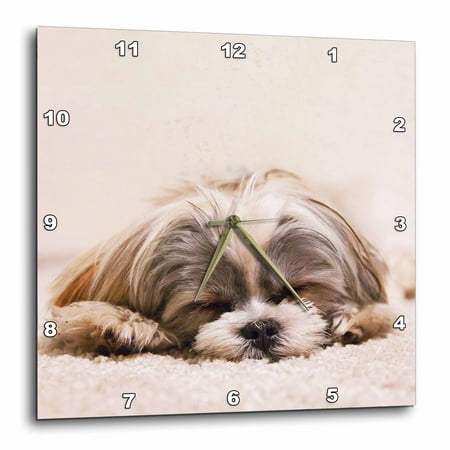 3dRose Shih Tzu. Sleeping. Best friend., Wall Clock, 15 by (The Best Clock Widget)