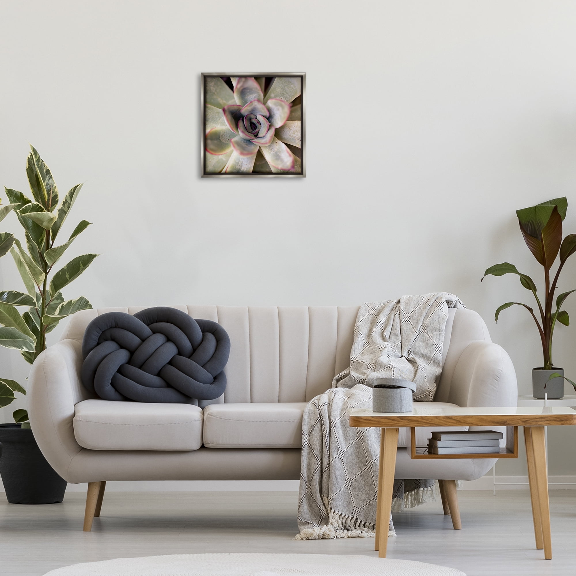 Stupell Industries Succulent Petals Pattern Plants & Flowers Photography Gray Floater Framed Canvas Art Print Wall Art, 18 x 18
