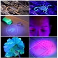 thumbnail image 3 of Linterna ultravioleta FloreceBien con 100 LED, luz ultravioleta para detector de manchas de orina de mascotas, color negro, 3 of 5