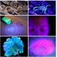 thumbnail image 3 of Linterna UV Antorcha Luz 100 LED ultravioleta Detector de manchas de orina para mascotas-Negro-, 3 of 5