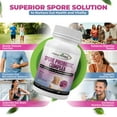 thumbnail image 6 of (3 pack) MoxyVites Spore Probiotic for Women and Men, Bacillus Coagulans Clausii, Digestive & Gut Health, 60 Capsules, 6 of 9