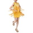 thumbnail image 2 of Fozruso Girls Dresses for School Girls Latin Dance Dress Sparkling Fringe Performance Summer Stage Party Wear Sequined Flowy Outfit Sizes 4-5 Years, 2 of 4