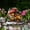 B Home Party Indoor Decoration Essentials, variant on Nsxcdh Flower Pot Standing Card Garden Wooden Stake 7.1x2.8x0.7in Easy Install Artistic Courtyard Decorative Ground Plug Outdoor Home Decor Party Cute Decoration Favors for Kids