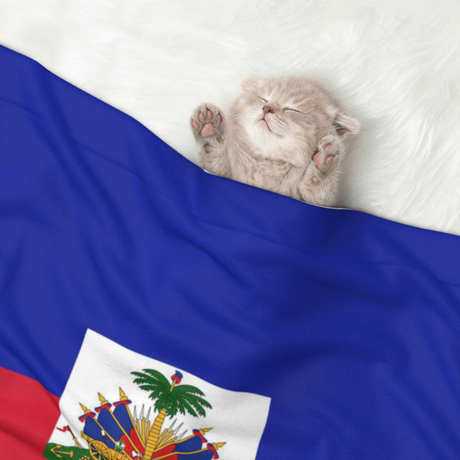 Haitian Flag Pattern Dog Blanket Soft Warm Flannel Cat Blanket Great Pet Throw for Cats Puppy Small Medium Large Dog