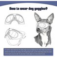 thumbnail image 4 of Dog Goggles Eye Protection Dog Sunglasses Anti-uv Goggles Windproof Puppy Goggles, 4 of 4