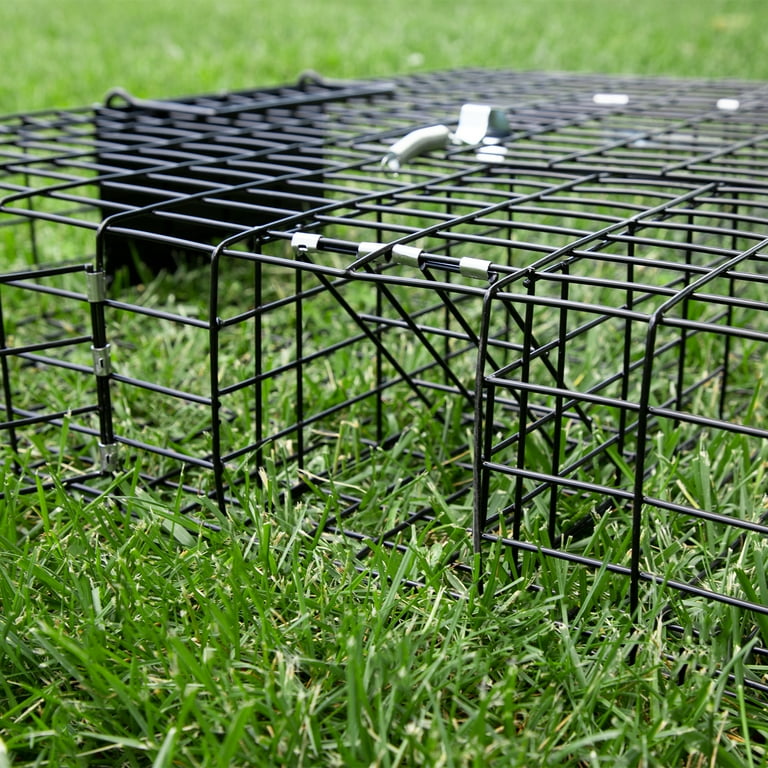 Rugged Ranch SQRTO Squirrelinator Trap CatchMor Live Animal 2 Door Metal  Cage, 1 Piece - Food 4 Less