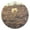 Gold, variant on Flower in Desert Round Wall Clock Silent Analog Battery Operated Black Pointer Home Decor 9.84" Diameter