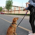 thumbnail image 3 of Correa Perro TFixol Verde Claro, 3 of 8