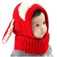thumbnail image 1 of Taian Sombreros para ni?os para oto?o e invierno Coreano Lindo Cachorro Mantón Bebé Sombrero de una pieza Cálido Bebé Suéter Sombrero - Bebé Ni?a Ni?o Sombrero de invierno con bufanda Oreja ZefeiWu 8390615820264, 1 of 1