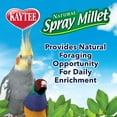 thumbnail image 5 of [Pack of 2] Kaytee Natural Spray Millet for All Birds 7 oz, 5 of 8