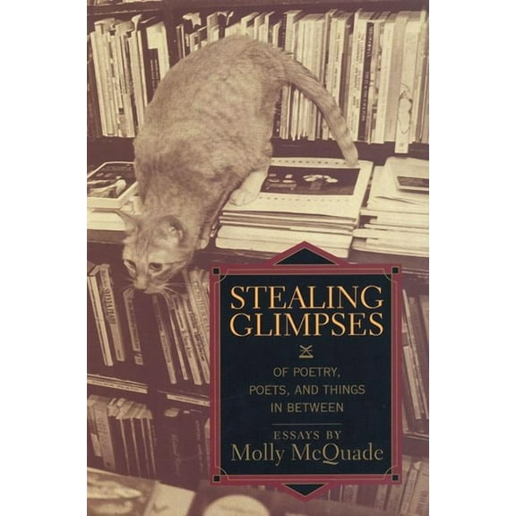 Stealing Glimpses: Of Poetry, Poets, and Things in Between / Essays (Paperback)