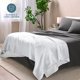 thumbnail image 4 of Manta de Cama de Felpa Sherpa Mullida y Suave Reversible Liviana Tamaño Matrimonial/queen Blanca Bare Home, 4 of 6