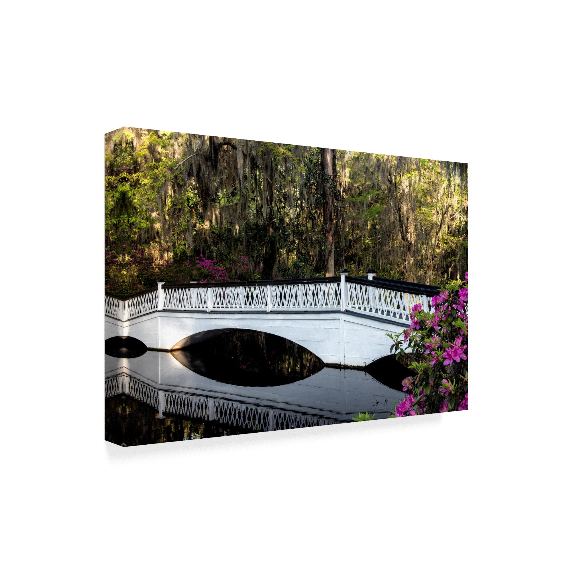 Trademark Fine Art 'White Bridge Reflections' Canvas Art by Danny Head