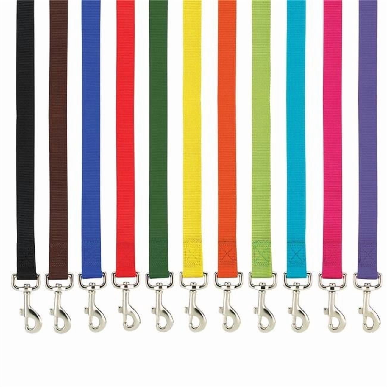 Casual Canine ZM2392 66 31 6 ft. x 1 in. Basic Nylon Dog Leash Lead, Brown