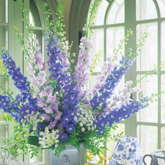 Delphinium Aurora Mix F1 Seed - NON-GMO - 25 Seeds