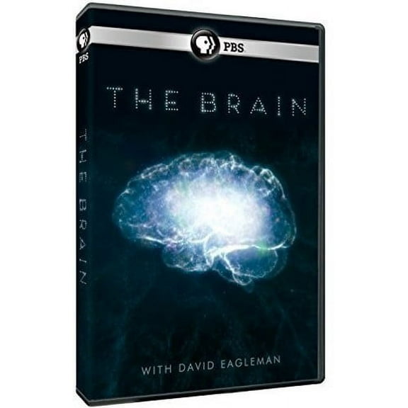 The Brain With David Eagleman (DVD), PBS (Direct), Documentary