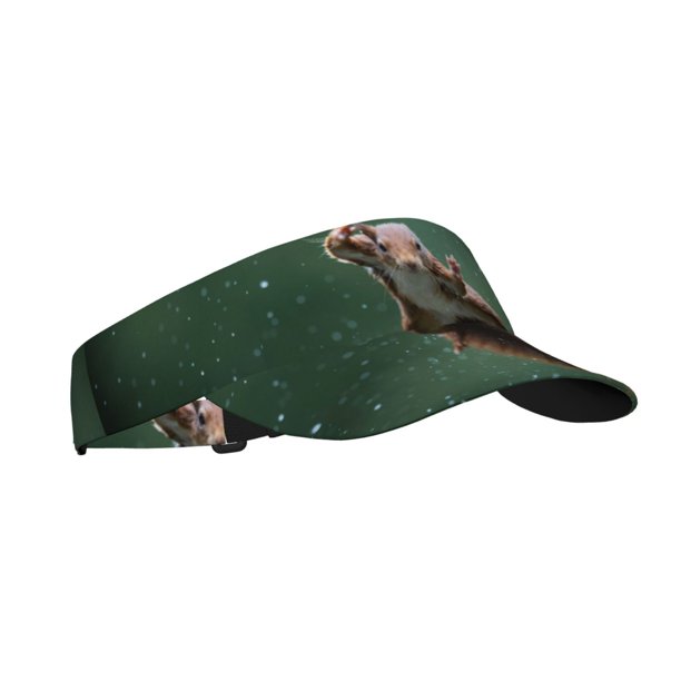 Balery Squirrel Gorra deportiva con visera ajustable para mujer y hombre (talla única)