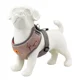 thumbnail image 3 of Pechera Arnes Ajustable Con Correa Para Perro, 3 of 8
