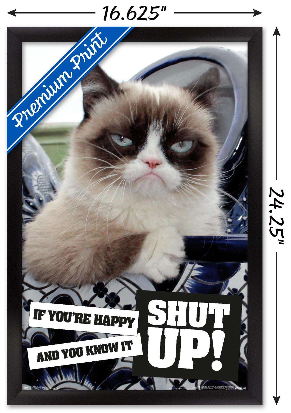 Grumpy Cat - Shut Up Wall Poster, 14.725" x 22.375", Framed