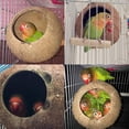 thumbnail image 4 of Natural Coconut Hamster Hideaway, Bird and Small Animal Toy, 4 of 7